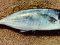 Μαυροσάφριδο - Horse Mackerel