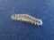 Malacosoma castrensis caterp. [Ground Lackey caterp.]
