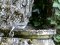 Μολωχτός?? - Tawny Pipit??