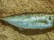 Κοκκάλι - White Trevally