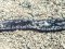 Κατουρλίδα  -  Deep-snouted Pipefish