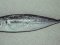 Σαφρίδι - Horse Mackerel