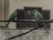 Παπαγάλος "δακτυλιόλαιμος"  -  Ring-necked Parakeet
