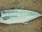 Σαφρίδι - Horse Mackerel
