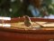 Δενδροφυλλοσκόπος - Chiffchaff