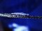 Κατουρλίδα  -  Deep-snouted Pipefish