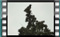 hooded-crows 23.01.2017 00002cr