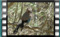 jay-vyziki 3.9.2017-00029crw
