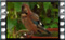 jay 2019-02-26-15-26-53crw