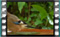 jay 2019-03-04-12-37-37w