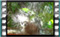jay 2019-03-06-16-09-11w