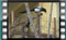 magpie-19.2.2016-00015cr