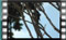 magpie-6.2.2016-00010cr