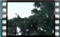 magpie-fliptail-00003 (2)