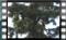 magpie 00006 19.12.2015cr