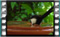 magpie 2019-03-02-13-00-07-02