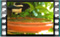 magpie 2019-03-06-15-32-37w