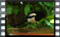magpie 2019-03-07-13-38-16crw