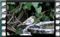 Spino-zeygos et-al water M2U00419