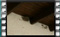 barn-swallow-nestlings-feeding-1