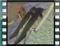 barn-swallows VERANDA-CLOSE-UP-5
