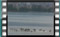 gulls-4.4.2017-00023