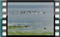 gulls-4.4.2017-00024-2
