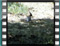 hoopoe tsalapeteinos 2006 6