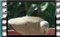 collared-dove 19-3-2016-00004