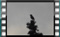 starling-25.11.2016-00009cr
