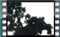 starlings-00013