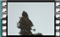 starlings-30.12.2015.00010