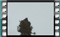 starlings-30.12.2015.00011