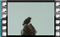 starlings-30.12.2015a.00009