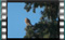 kestrel-03.01.2017-00010cr4