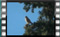 kestrel-magpie-03.01.2017-00010cr2