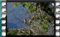 House-sparrow-Vyziki-M2U00972