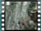 Untitled-Clip-28 maleExitFromNest