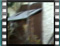 Untitled-Clip-29 bothIntoNest