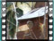 house sparrow nest 3