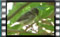 PhosphorLips-4.6.2016-00015-2a