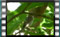 PhosphorLips-4.6.2016-00016-1a