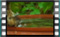 house.sparrow 2019-02-28-14-36-46w