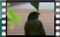 rock-sparrow M2U01075cr