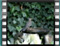 Untitled-Clip-07-3 kotsyfina