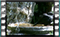 blackbird 11 60x37