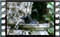 blackbird 12 60x37