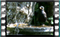 blackbird 14 60x37