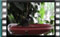 blackbird-21.5.2016-00007