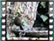 blackbird 4 60x46